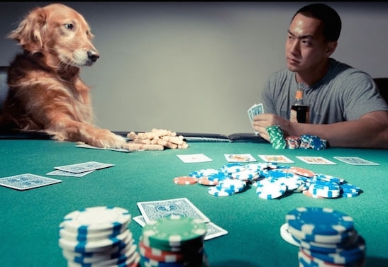 Психология в покере: как словить удачу в ПокерДоме?
