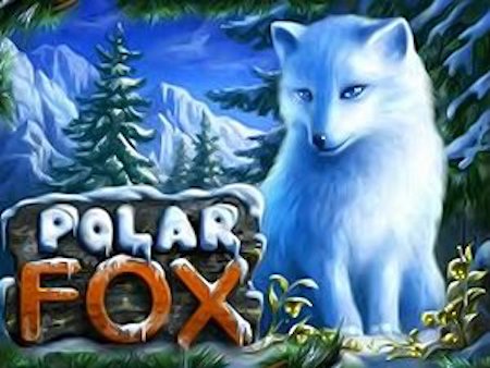 Описание игрового автомата "Polar Fox"
